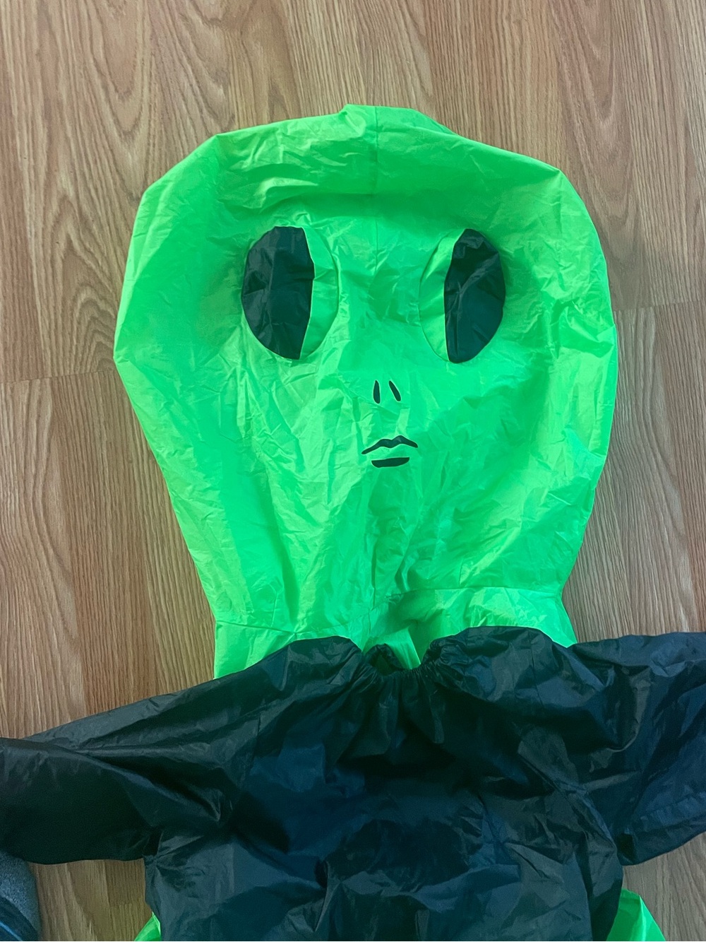 Inflatable costume - Picture 3 of 5